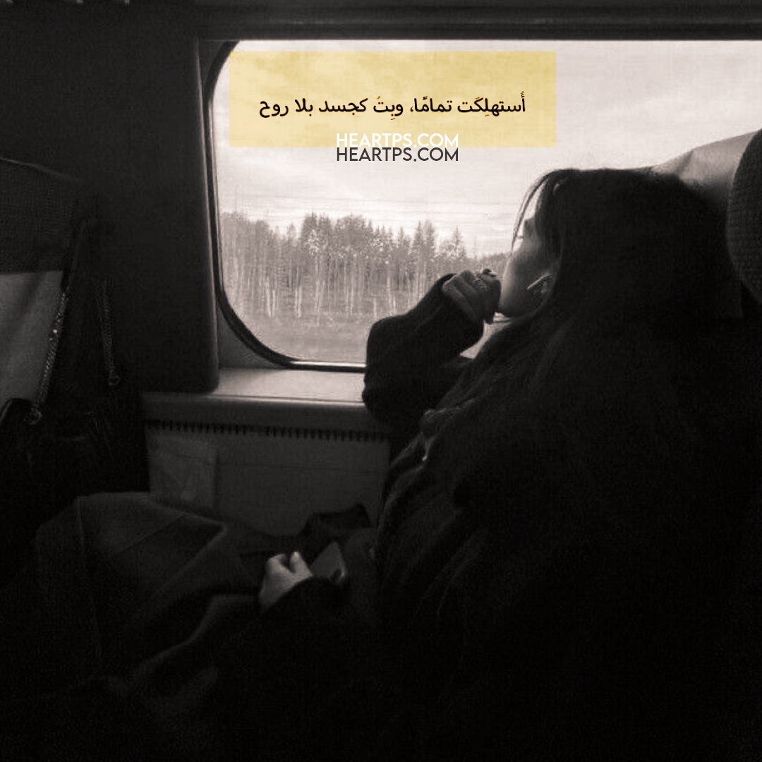 ���� ���� ������ �� ���� ������