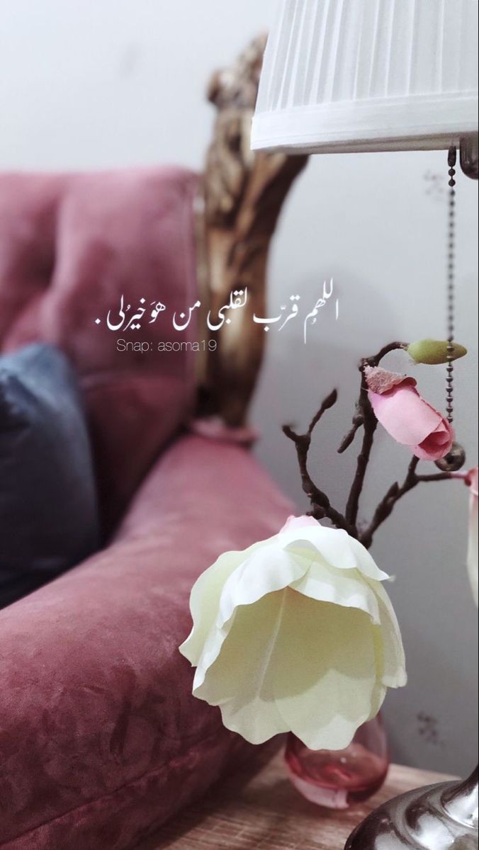 ���� ���� ������ �� ���� ������