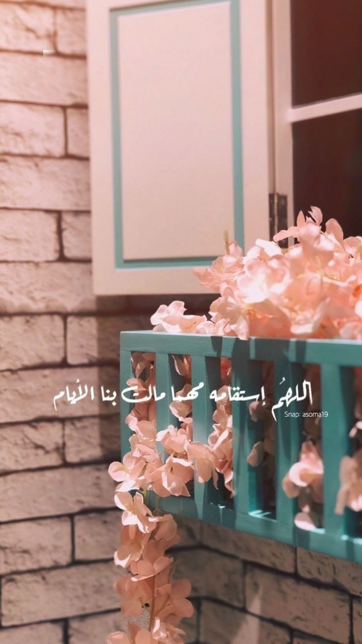 ���� ���� ������ �� ���� ������