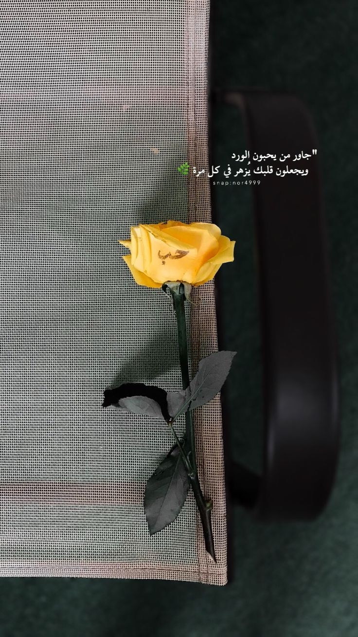 ���� ���� ������ �� ���� ������