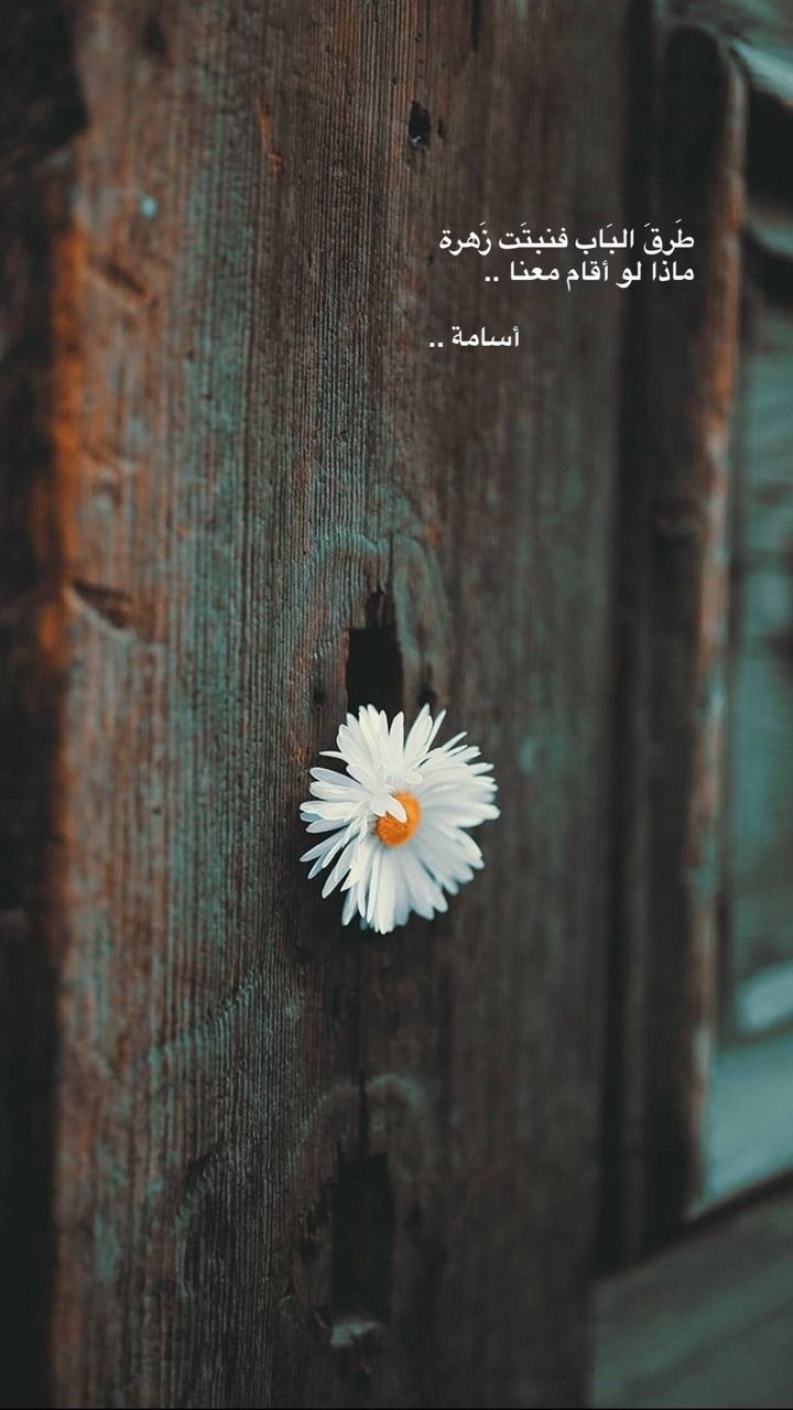 ���� ���� ������ �� ���� ������