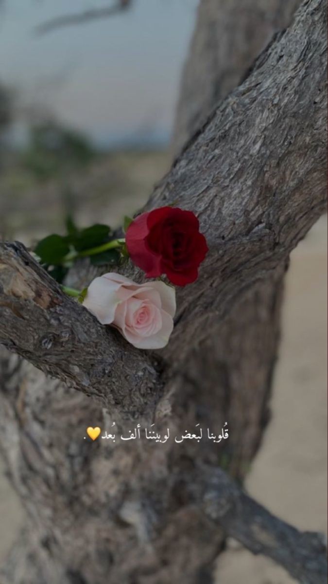 ���� ���� ������ �� ���� ������