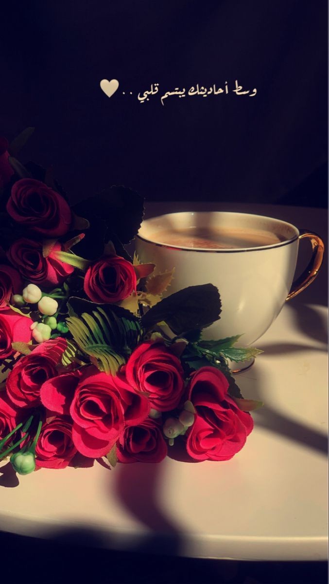 ���� ���� ������ �� ���� ������