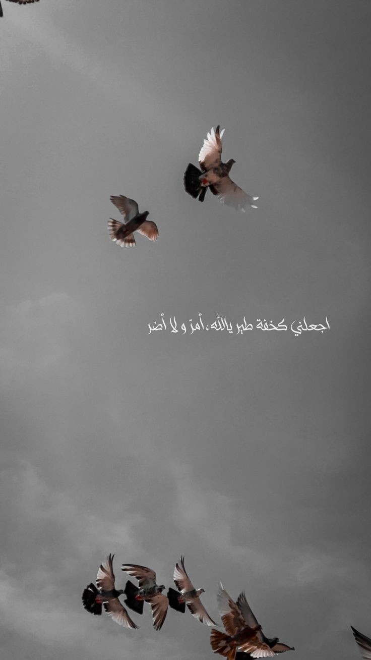 ���� ���� ������ �� ���� ������