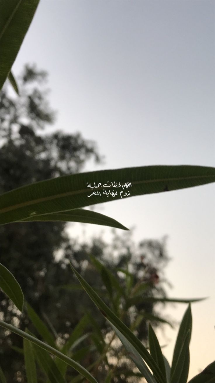 ���� ���� ������ �� ���� ������