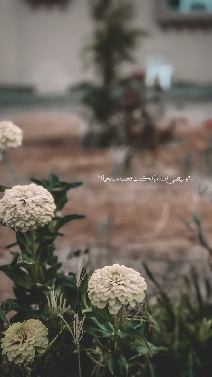 ���� ���� ������ �� ���� ������