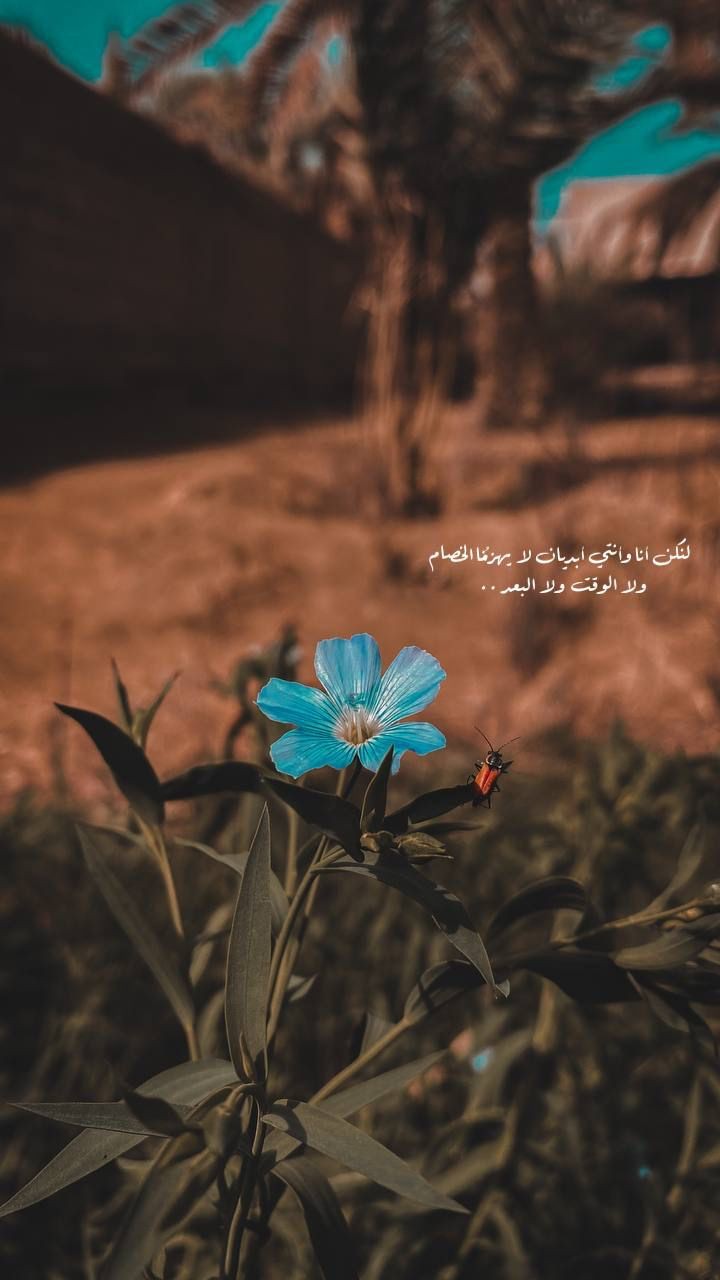 ���� ���� ������ �� ���� ������