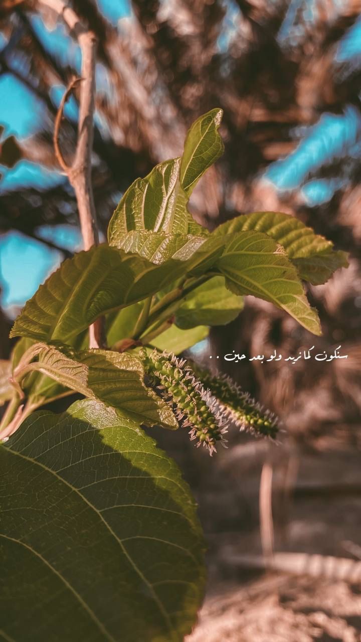 ���� ���� ������ �� ���� ������