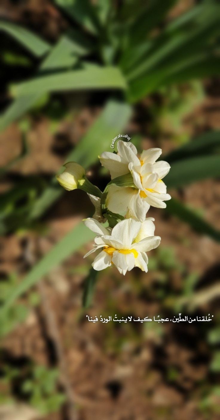 ���� ���� ������ �� ���� ������