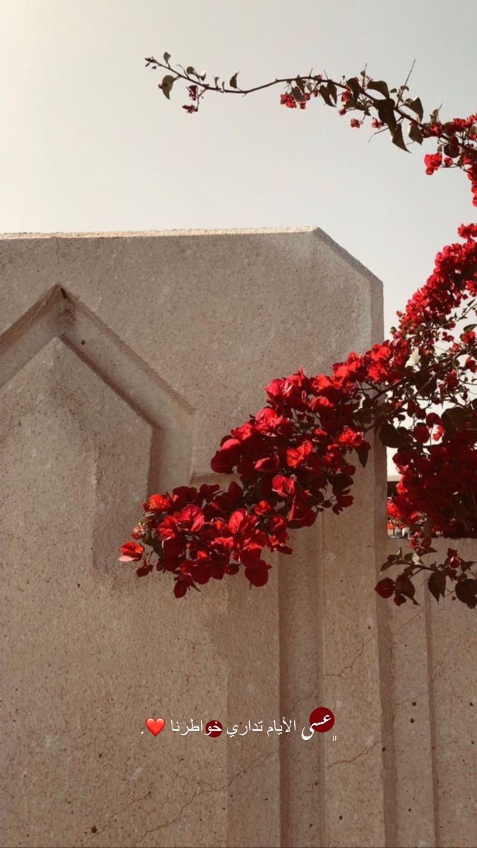 ���� ���� ������ �� ���� ������