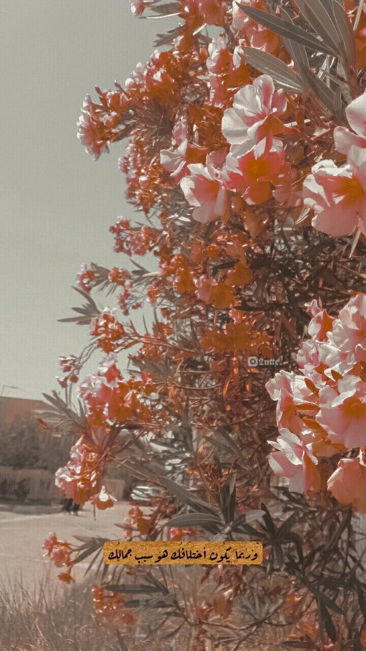 ���� ���� ������ �� ���� ������