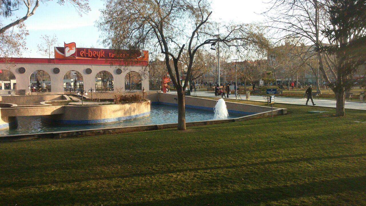   / bntpal_1421941703_20