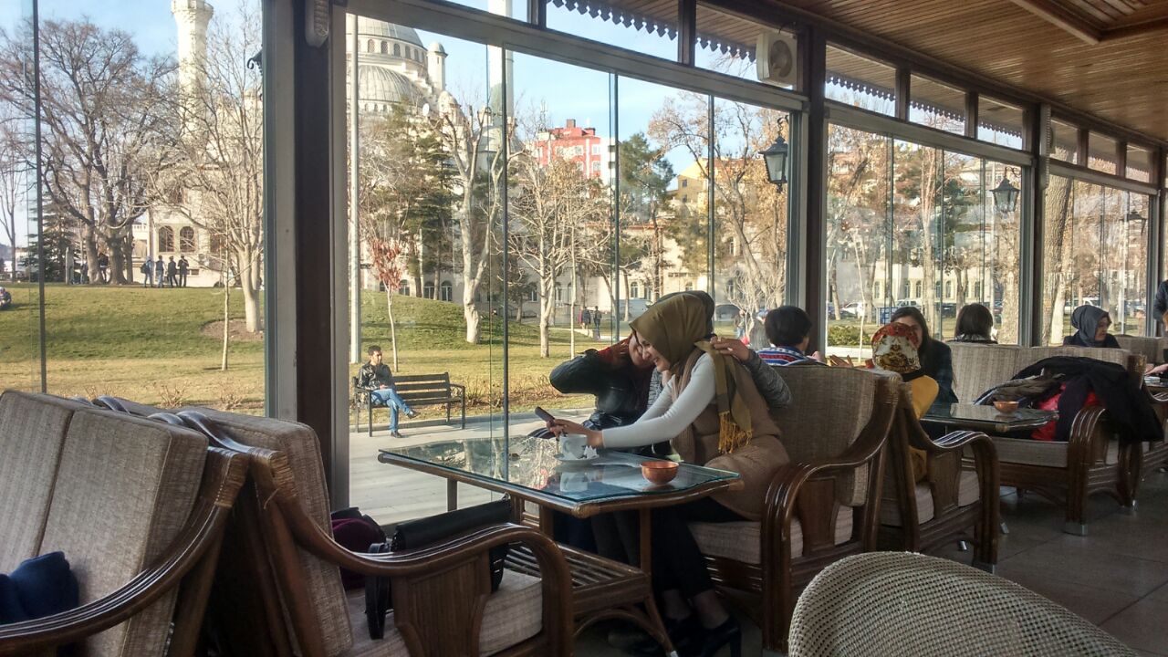   / bntpal_1421941767_78