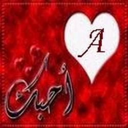 2015 bntpal_1422018905_13