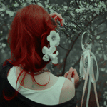 2015 bntpal_1422041064_57