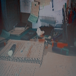2015 bntpal_1422041074_69