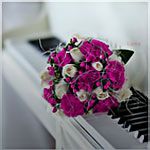 2015 bntpal_1422041078_79