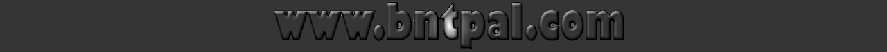 bntpal_1422121439_30