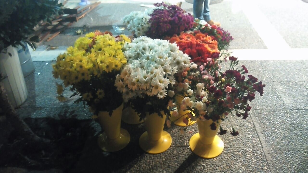 / 24/12015 bntpal_1422124007_60