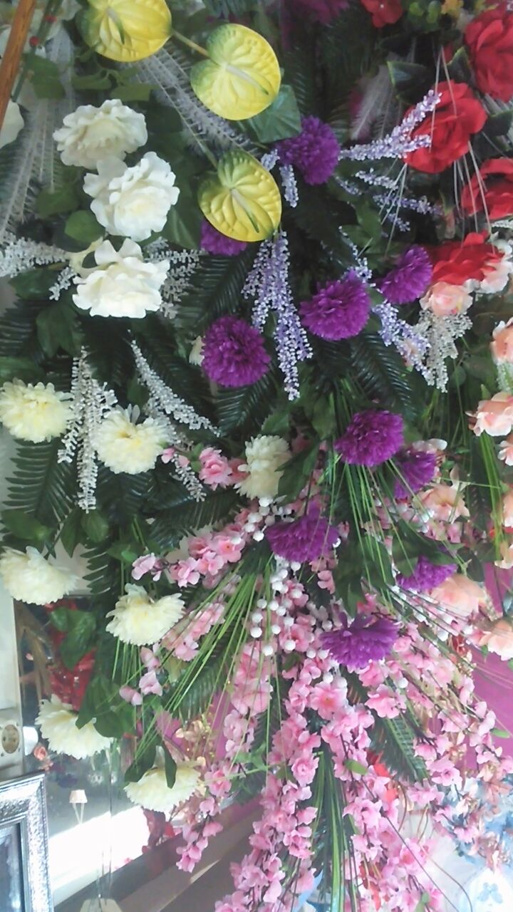 / 24/12015 bntpal_1422124048_34