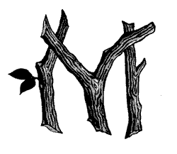 2015 bntpal_1422179660_20