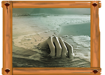 bntpal_1422182507_40