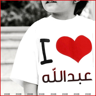 2015 bntpal_1422183189_22