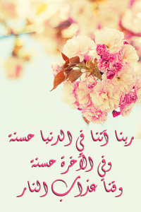  2015  2015 bntpal_1422186615_75