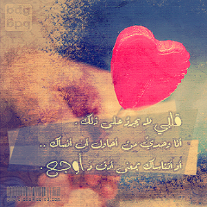  2015  2015 bntpal_1422186616_34