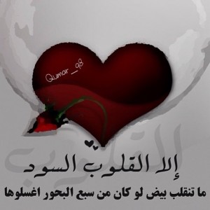  2015  2015 bntpal_1422186621_72