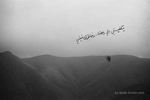 bntpal_1422221265_17