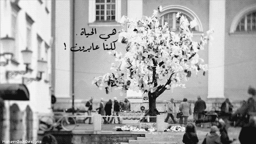 .. bntpal_1422252358_44