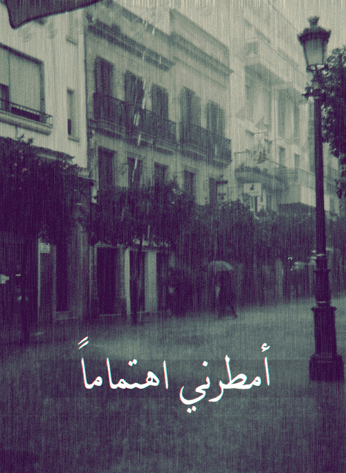 .. bntpal_1422252400_98