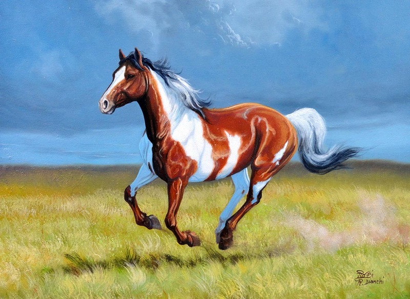 bntpal_1422263564_80