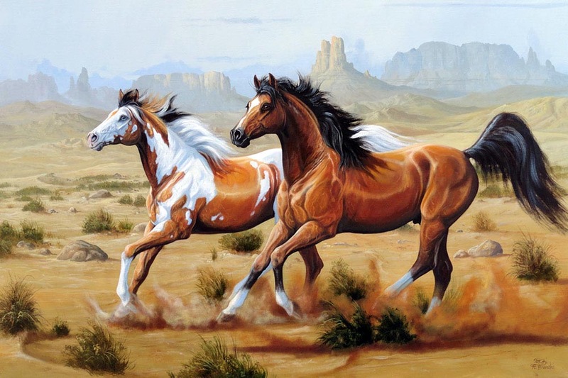 bntpal_1422263570_15