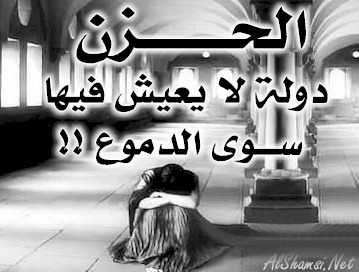 bntpal_1422266152_52