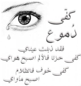 bntpal_1422266156_90