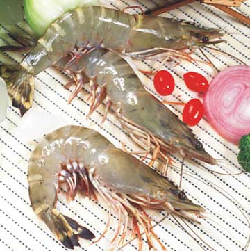  bntpal_1422269010_77