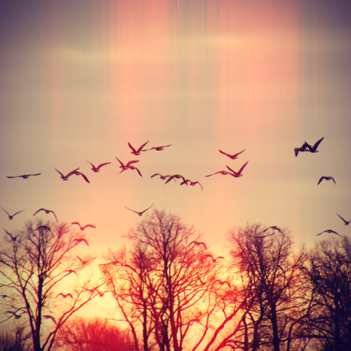  " "..! bntpal_1422289699_87