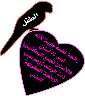  bntpal_1422344503_64