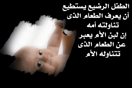  bntpal_1422344508_22