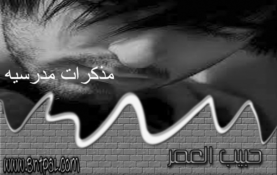 bntpal_1422348859_44