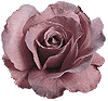 bntpal_1422382621_12