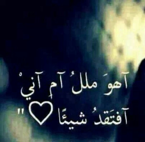 bntpal_1422383397_31