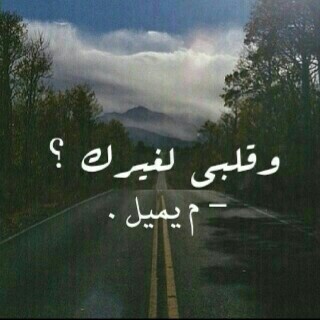 bntpal_1422383398_25