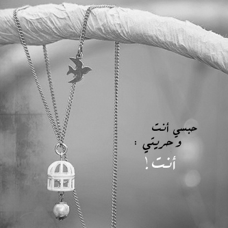 2015 2015 bntpal_1422436199_52