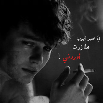 2015 2015 bntpal_1422436203_32