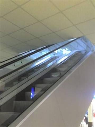 bntpal_1422469088_41