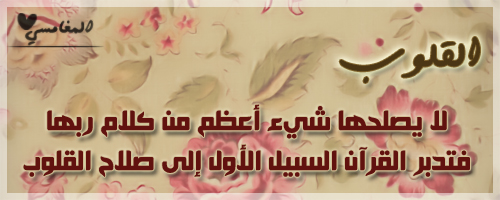 ... bntpal_1422554980_47