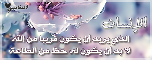 ... bntpal_1422554981_79